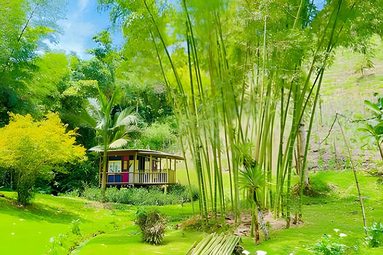 Cabaña completa con cocina en medio de naturaleza