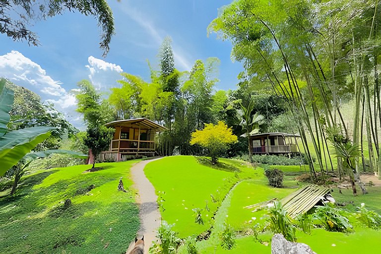 Cabaña completa con cocina en medio de naturaleza