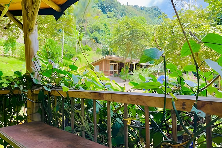 Habitación familiar tranquila - Los Gulungos Lodge